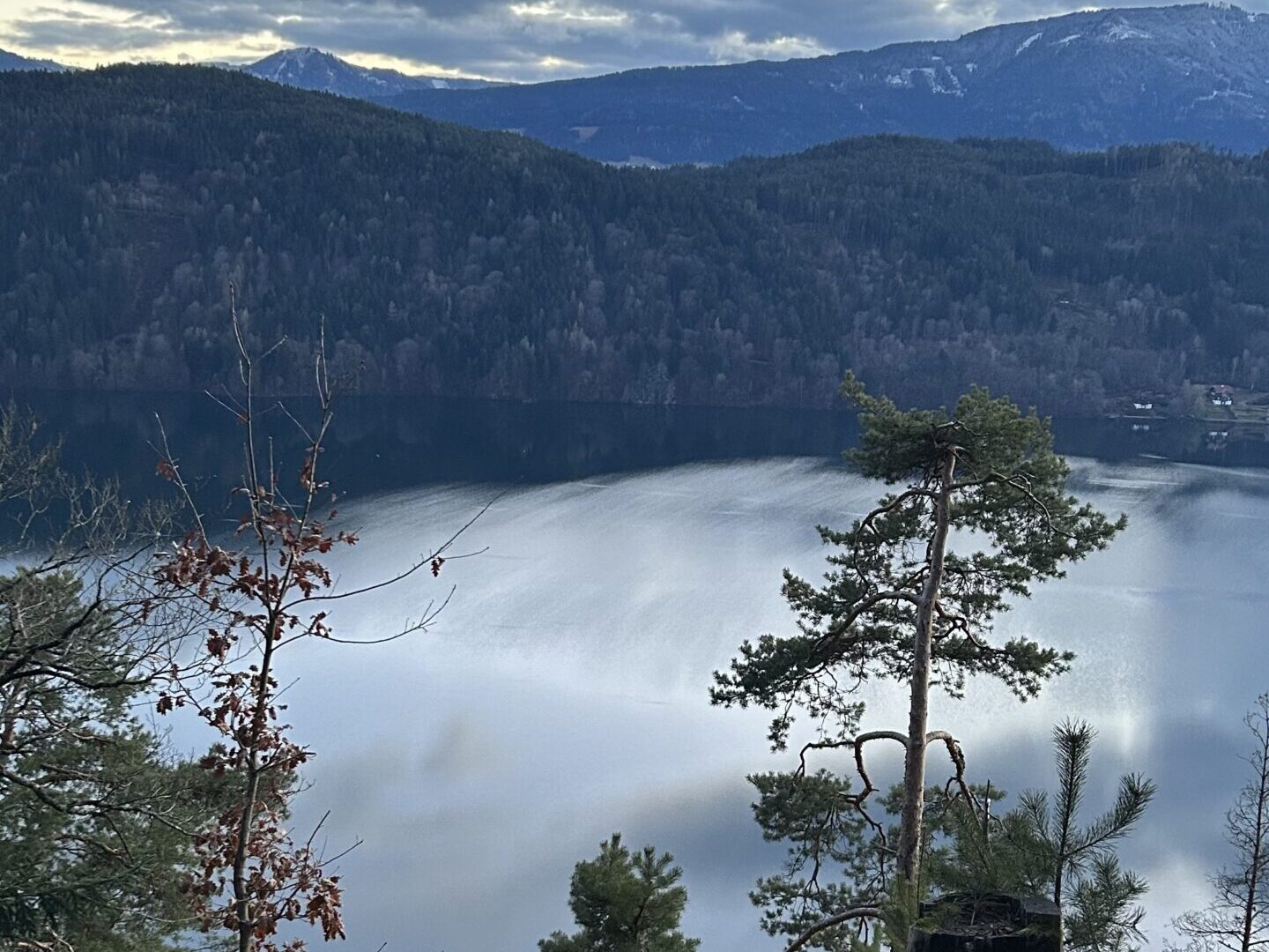 A quiet lake beneath forested mountains and clouds, with a pine in the foreground